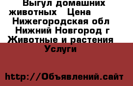 Выгул домашних животных › Цена ­ 200 - Нижегородская обл., Нижний Новгород г. Животные и растения » Услуги   